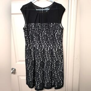 Gabby Skye Elegant Black Lace Dress